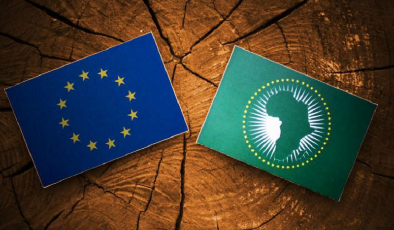 Les Occidentaux veulent déclencher une guerre par procuration en Afrique, avertit un panafricaniste