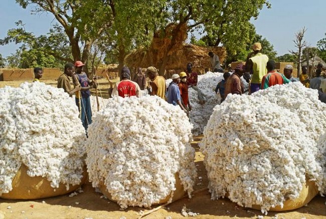 Fédération des producteurs d’huile d’aliment bétail du Mali (FENAPHAB) :  « On n'a bénéficié d'aucune exonération de l’Etat »