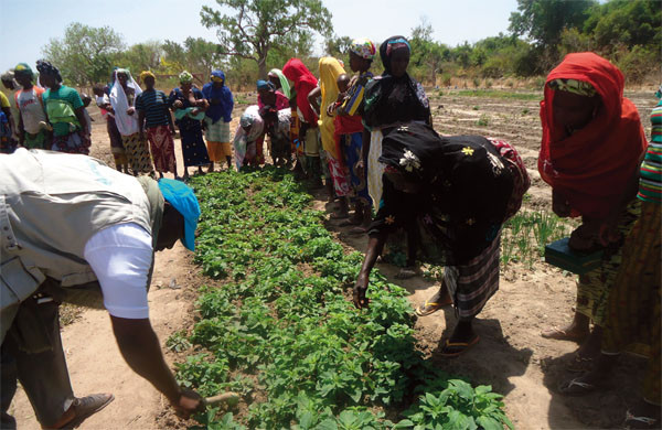 Production agricole : Un forum d’investissement pour mieux promouvoir les chaînes de valeur