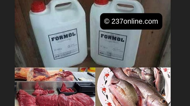 Conservation des aliments :  Du formol dans nos assiettes : tous en danger !