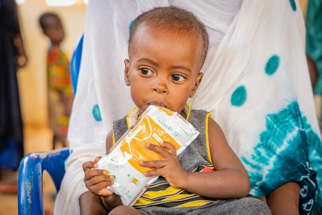 L’Unicef et le PAM alertent :    Près d'un million d'enfants de moins de 5 ans menacés de malnutrition aiguë d'ici fin 2023