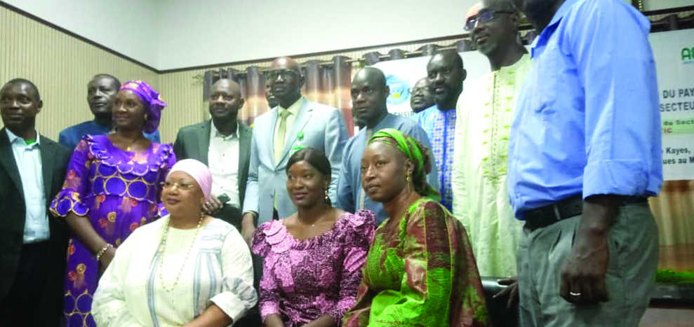 Promotion de l’électrification rurale au Mali : Les acteurs du secteur privé informés sur le projet pour permettre au Mali de respecter ses engagements dans le cadre de sa CDN