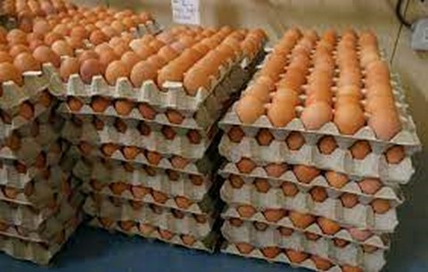 Œufs de poule :  Moult raisons derrière la flambée du prix