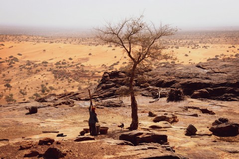 Femmes et souveraineté économique au Mali :  Les femmes exclues du secteur industriel ?