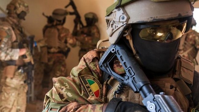 Création de la force d’intervention rapide des armées :  Les leaders d'opinions s’inquiètent