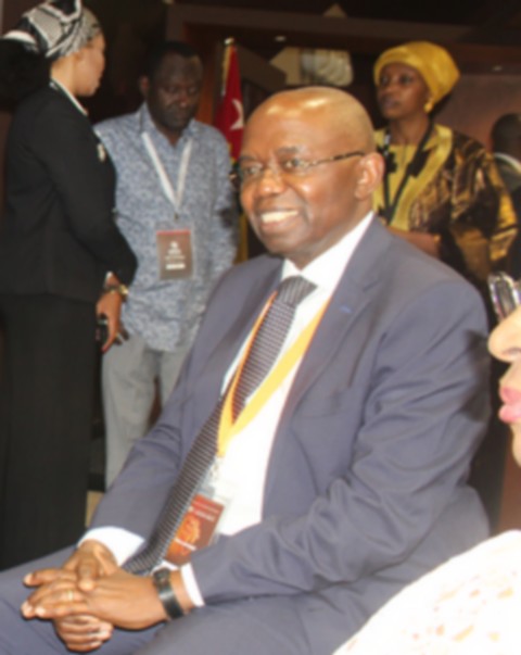 Mamadou Ndiaye, Directeur général de l'API-Mali à propos du FIAD 2024 :"Nous avons pu renforcer notre image de destination attractive pour les investissements" :  "De nombreux investisseurs et partenaires potentiels ont manifesté un intérêt réel pour nos projets et nos opportunités d'investissement"