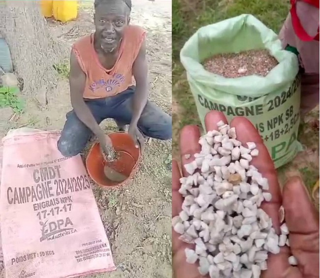 Mali. La campagne agricole compromise avec de l’ « engrais cailloux » ?
