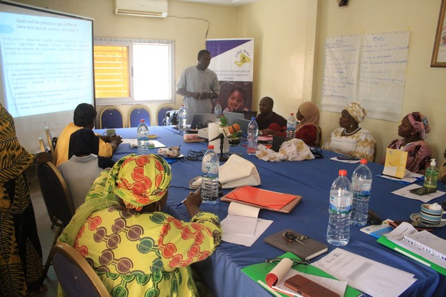 Changement climatique : FAWE-Mali renforce ses membres