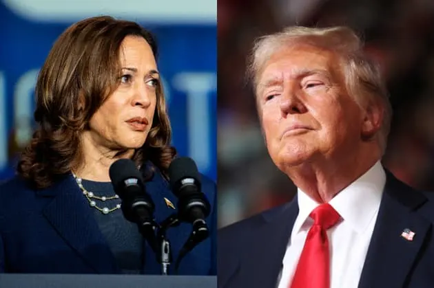 Kamala Harris face à Donald Trump: ce que disent les derniers sondages