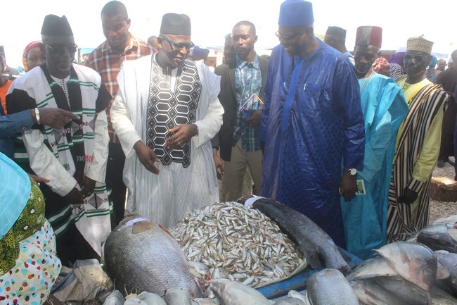 Alimentation :  Le Mali renforce la sécurité sanitaire du poisson pour préserver la santé des consommateurs