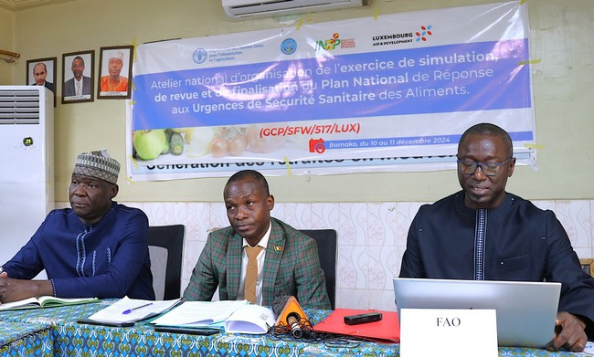 FAO-INSP : la Réponse aux Urgences de Sécurité Sanitaire des Aliments au cœur d’un atelier