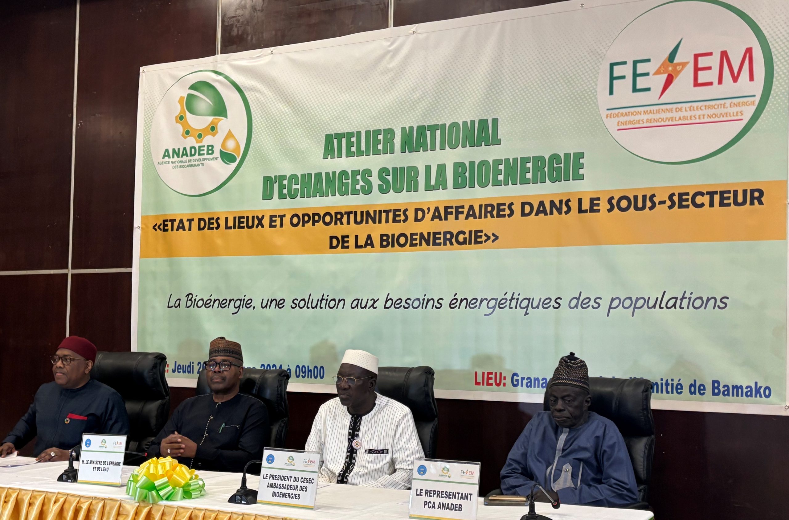 Promotion des bioénergies :   Les acteurs balisent les pistes de réduction de la facture énergétique du Mali