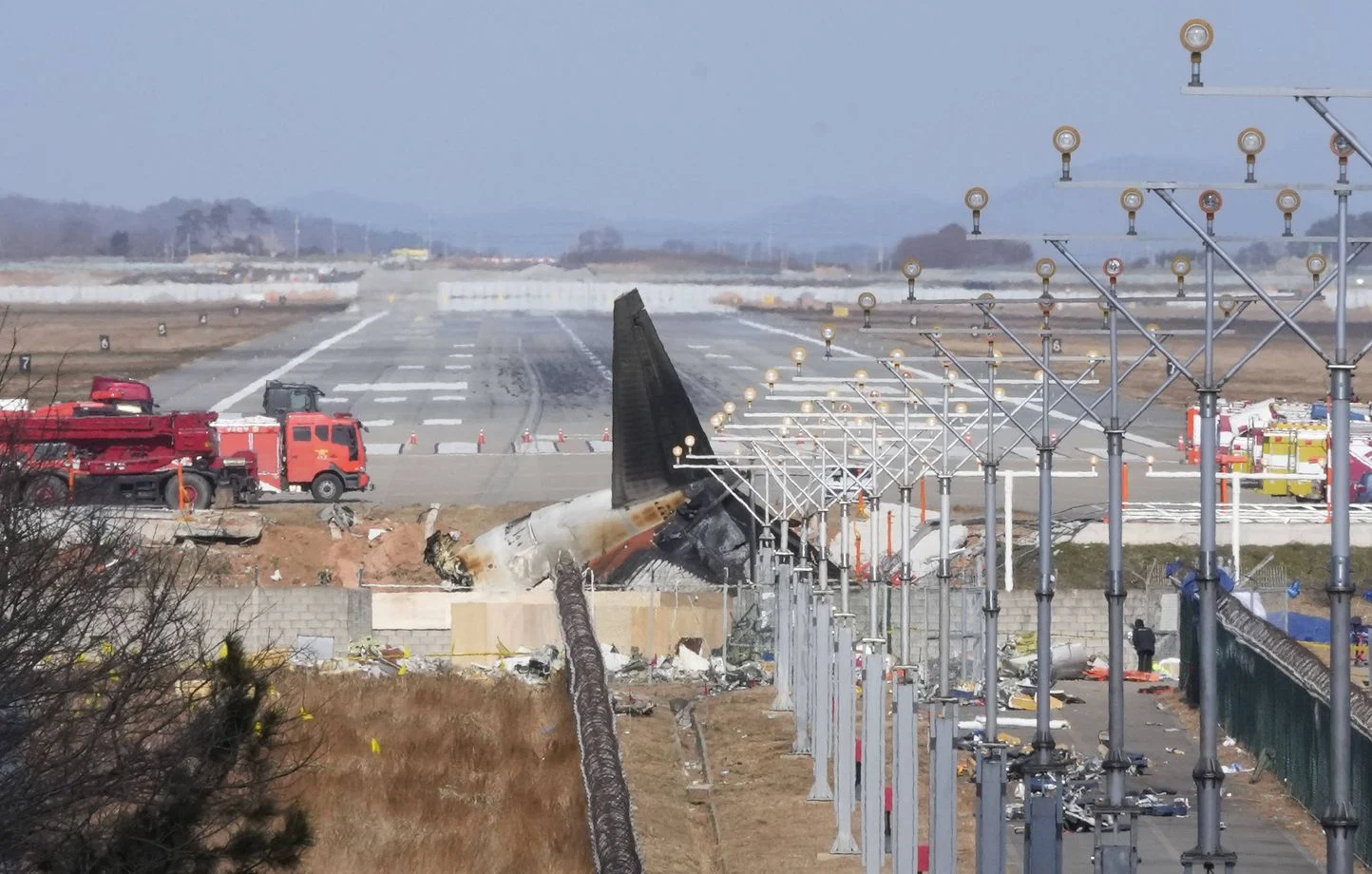 Corée du Sud : Des plumes d’oiseaux retrouvées dans les moteurs du Boeing qui s’est écrasé à l'aéroport