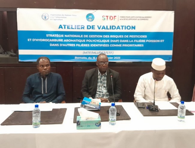 Filière poisson au Mali: La gestion des risques liés au pesticides et hydrocarbure aromatique polycyclique au cœur d’un atelier
