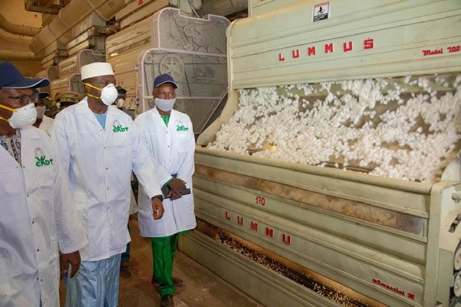 Production de coton au Mali :    Les cotonculteurs maliens ambitionnent de passer d’une à cinq tonnes par hectare