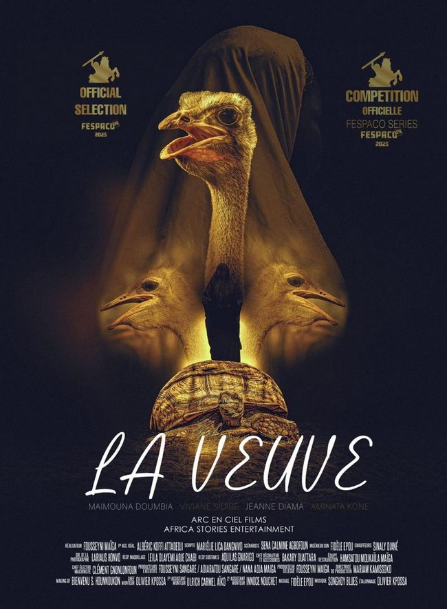Cinéma malien :  Quel bilan ?