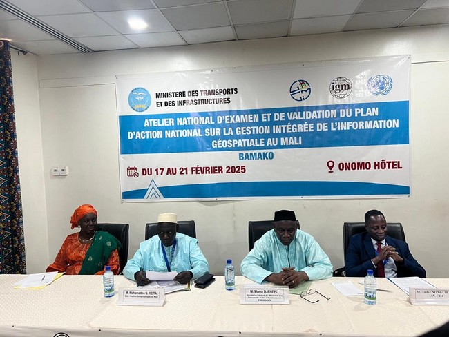 Gestion de l'information aérospatial au Mali :  Identifier des solutions adaptées à nos défis